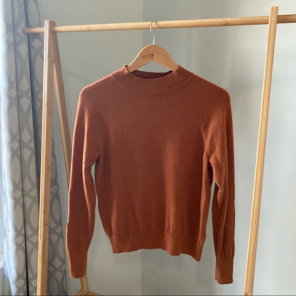 Everlane Cashmere Mockneck Sweater